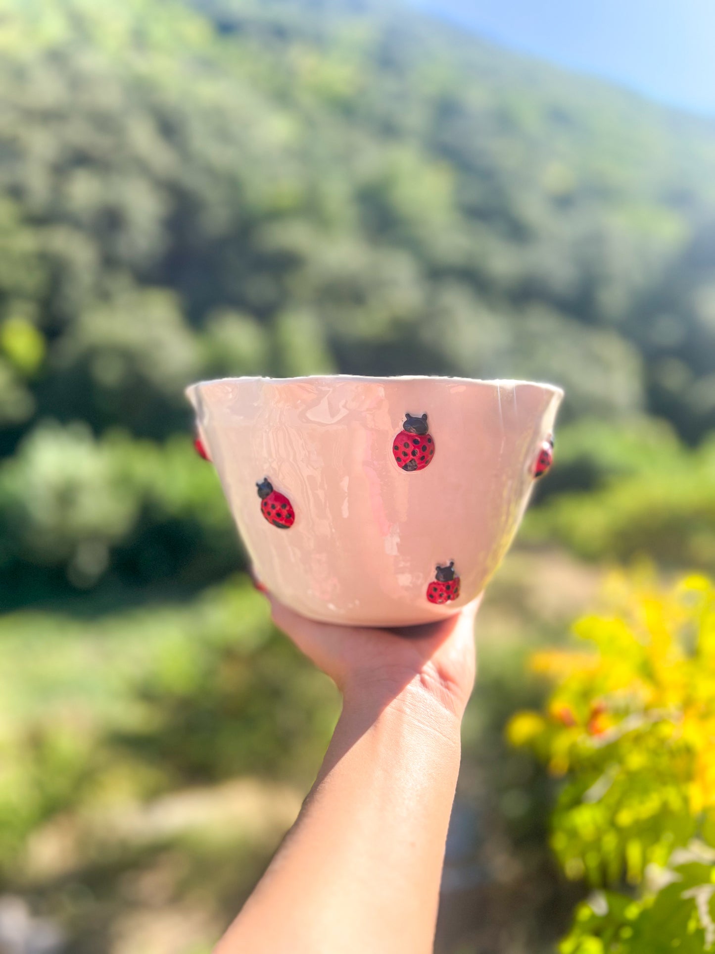 Saladier Coccinelle 🐞