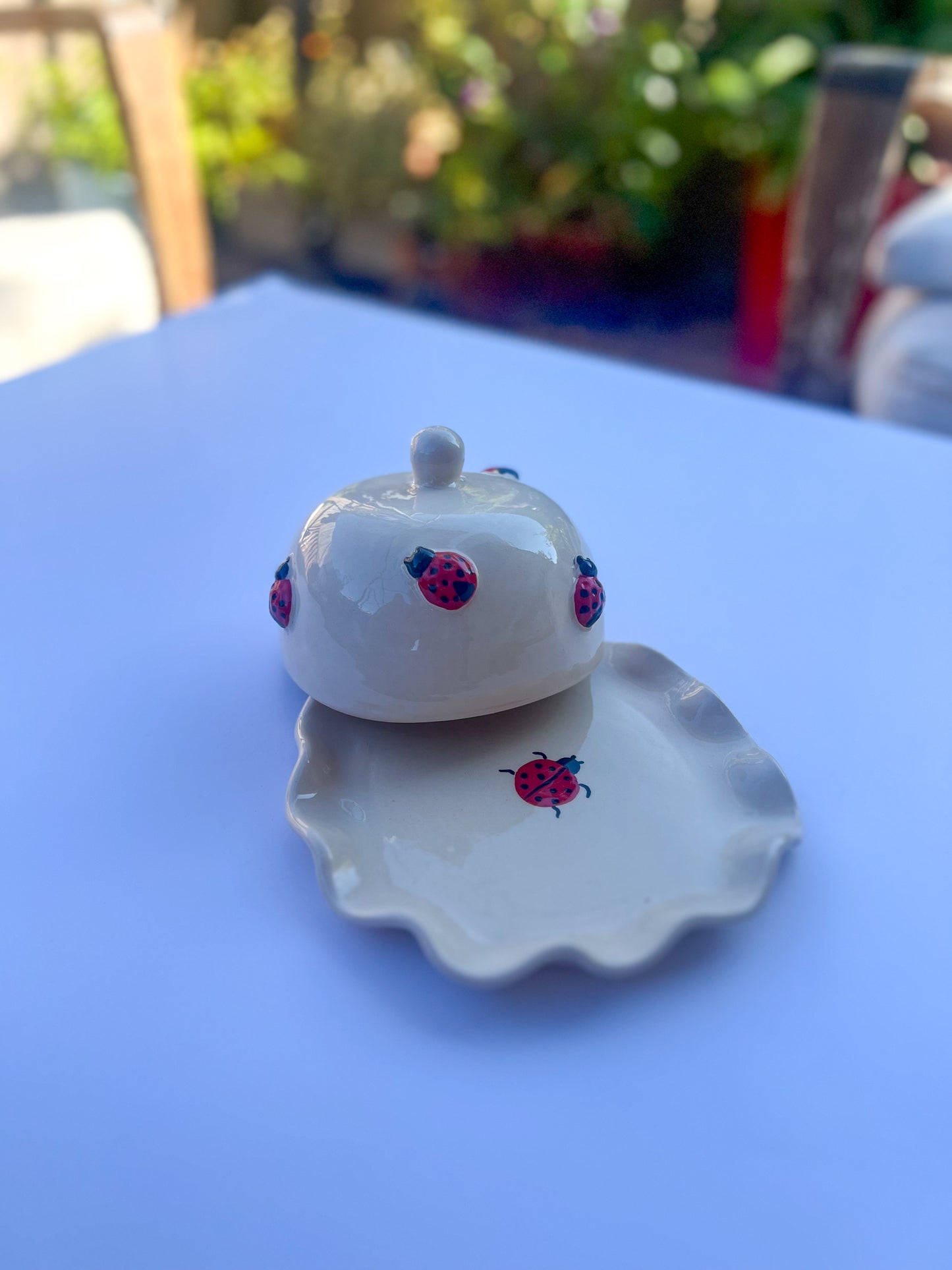 Petit Beurrier Coccinelle 🐞