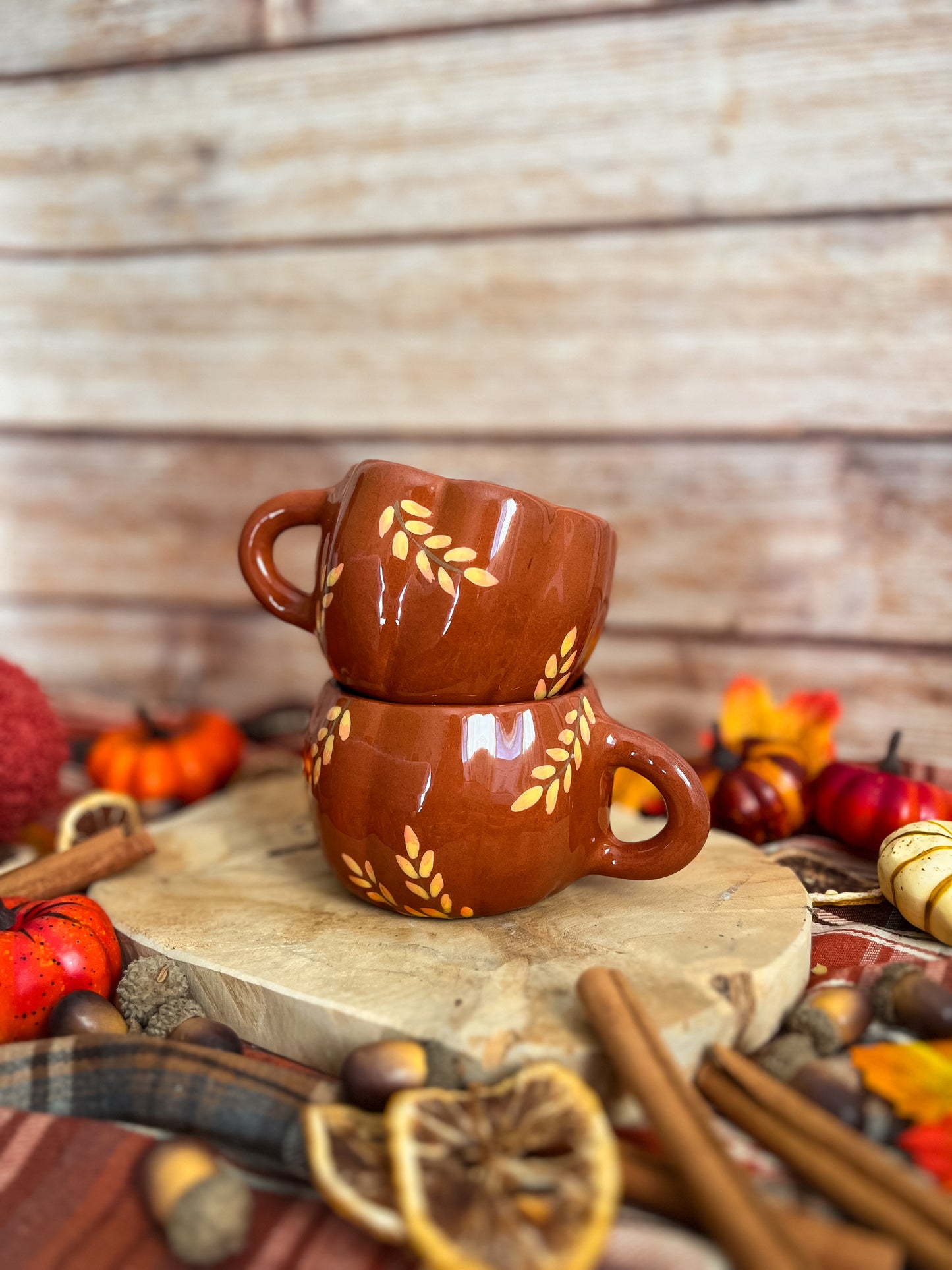 Mug « Cascade Automnale » PRECOMMANDE🍂