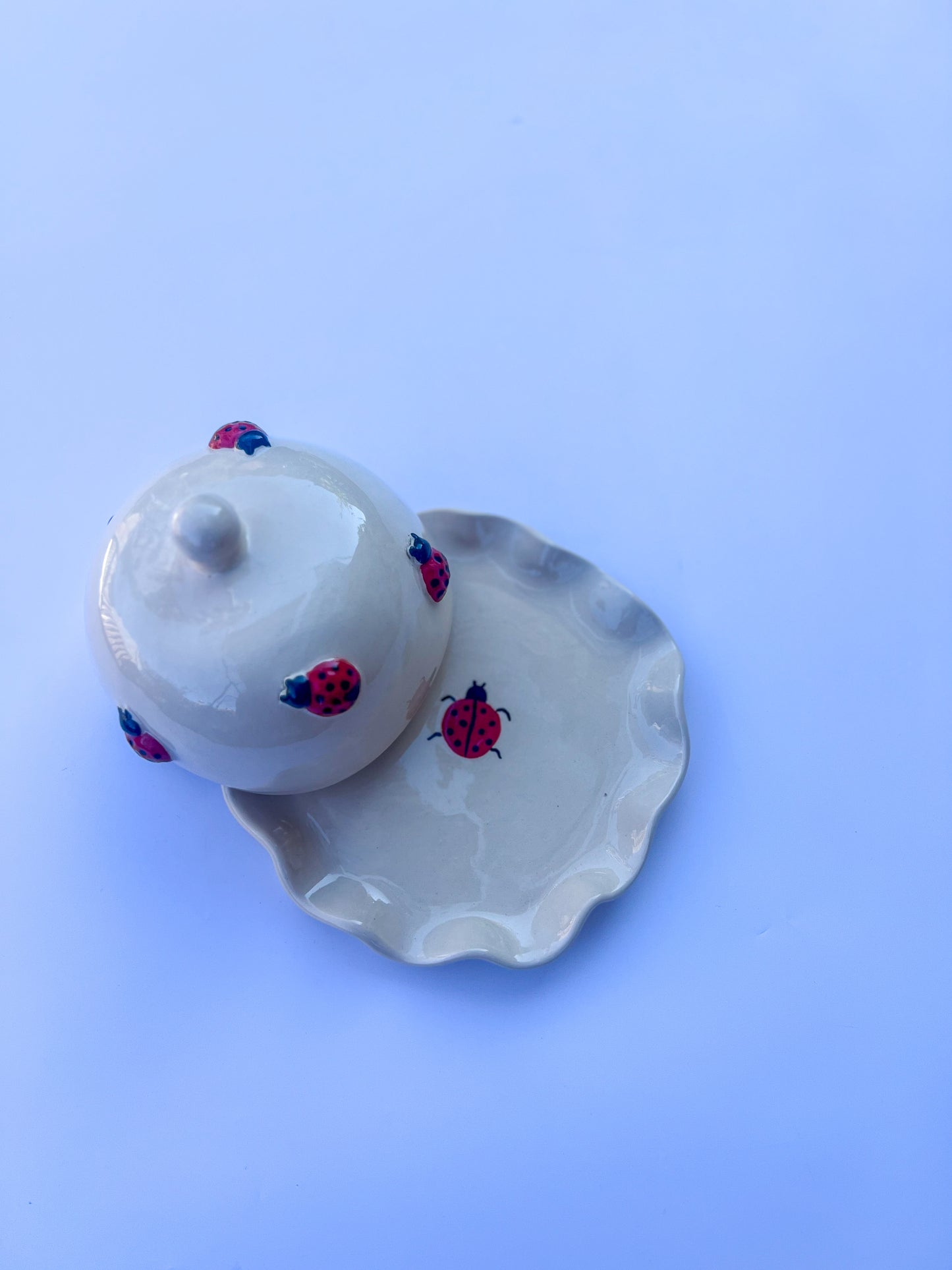 Petit Beurrier Coccinelle 🐞