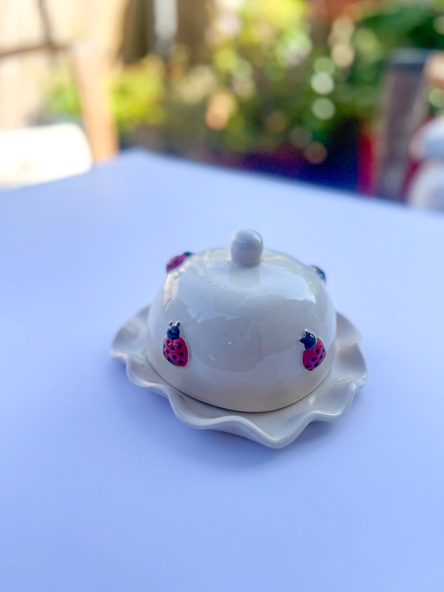 Petit Beurrier Coccinelle 🐞