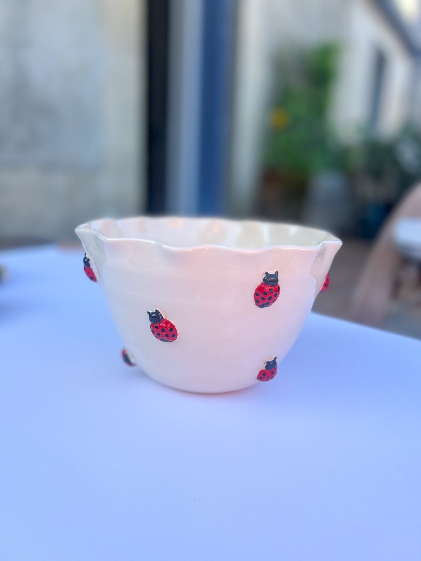 Saladier Coccinelle 🐞