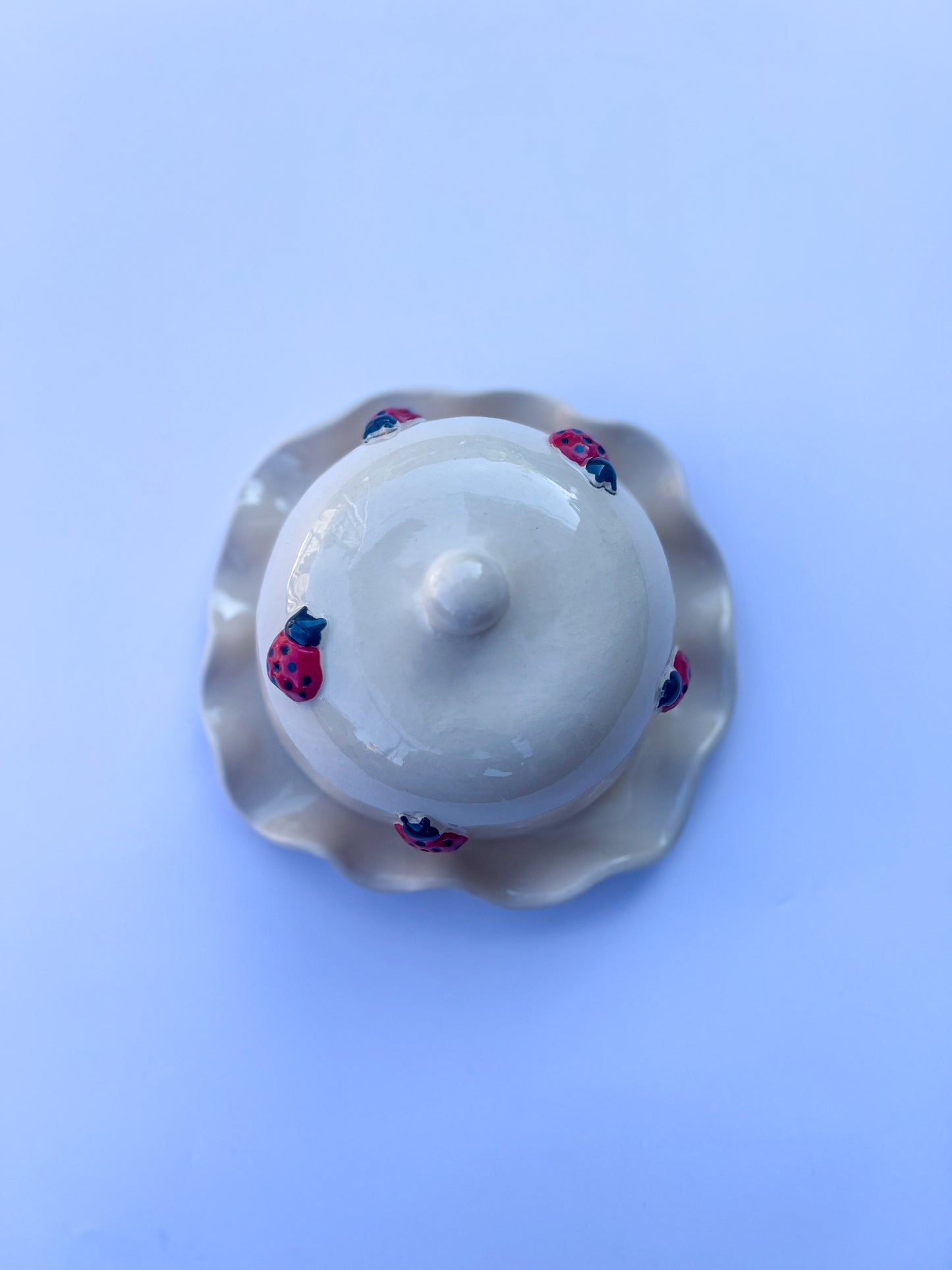 Petit Beurrier Coccinelle 🐞