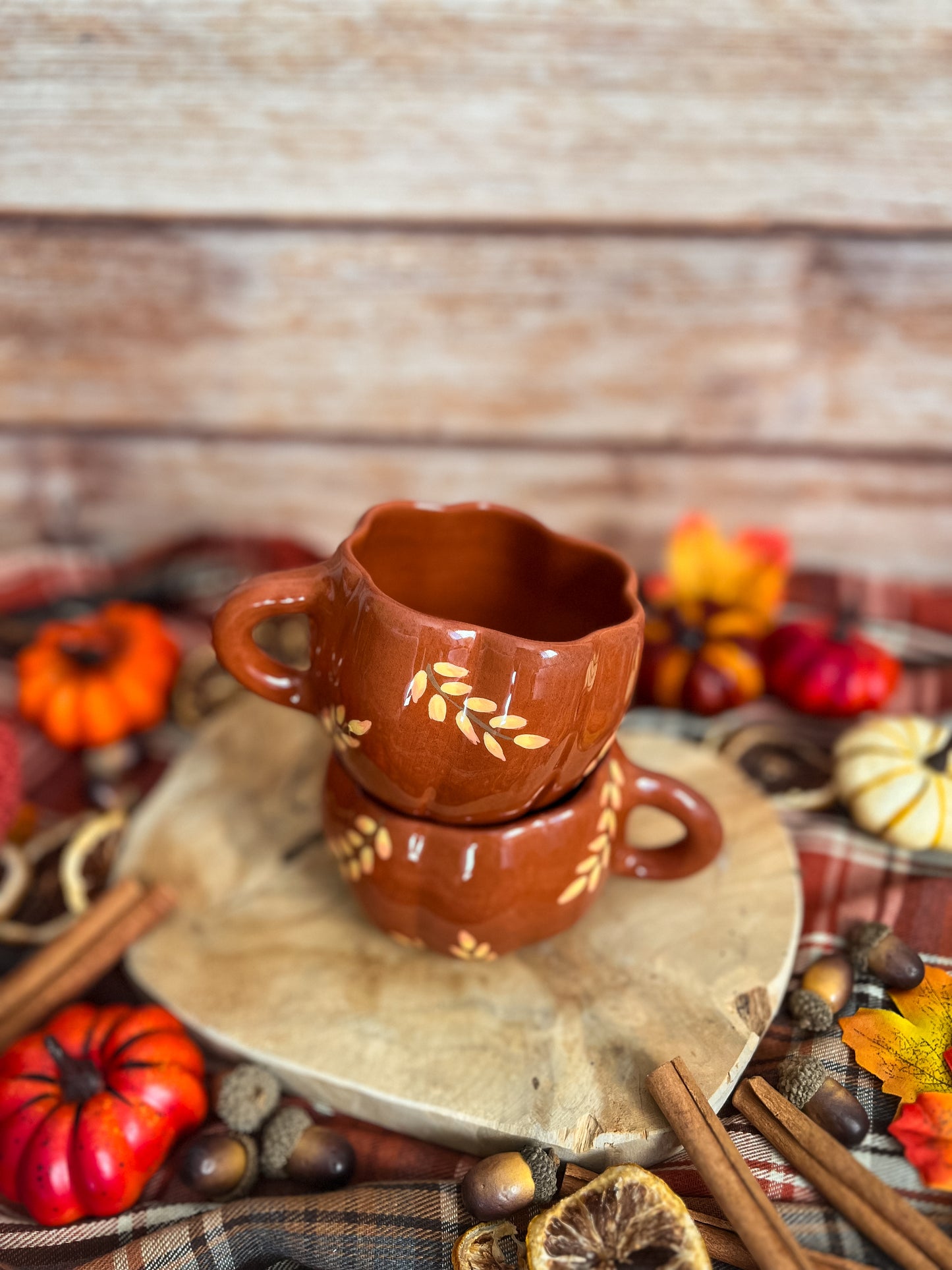 Mug « Cascade Automnale » PRECOMMANDE🍂