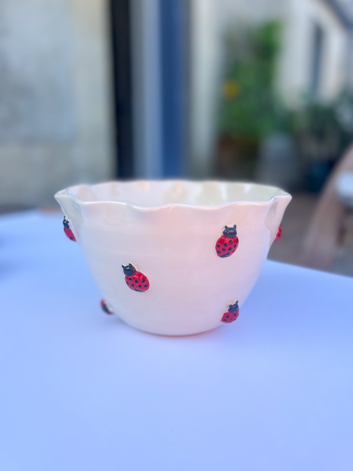 Saladier Coccinelle 🐞