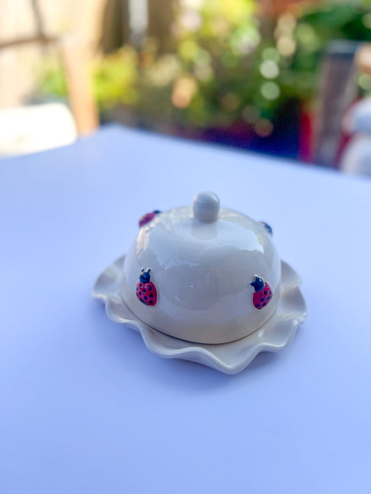 Petit Beurrier Coccinelle 🐞