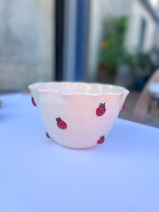 Saladier Coccinelle 🐞