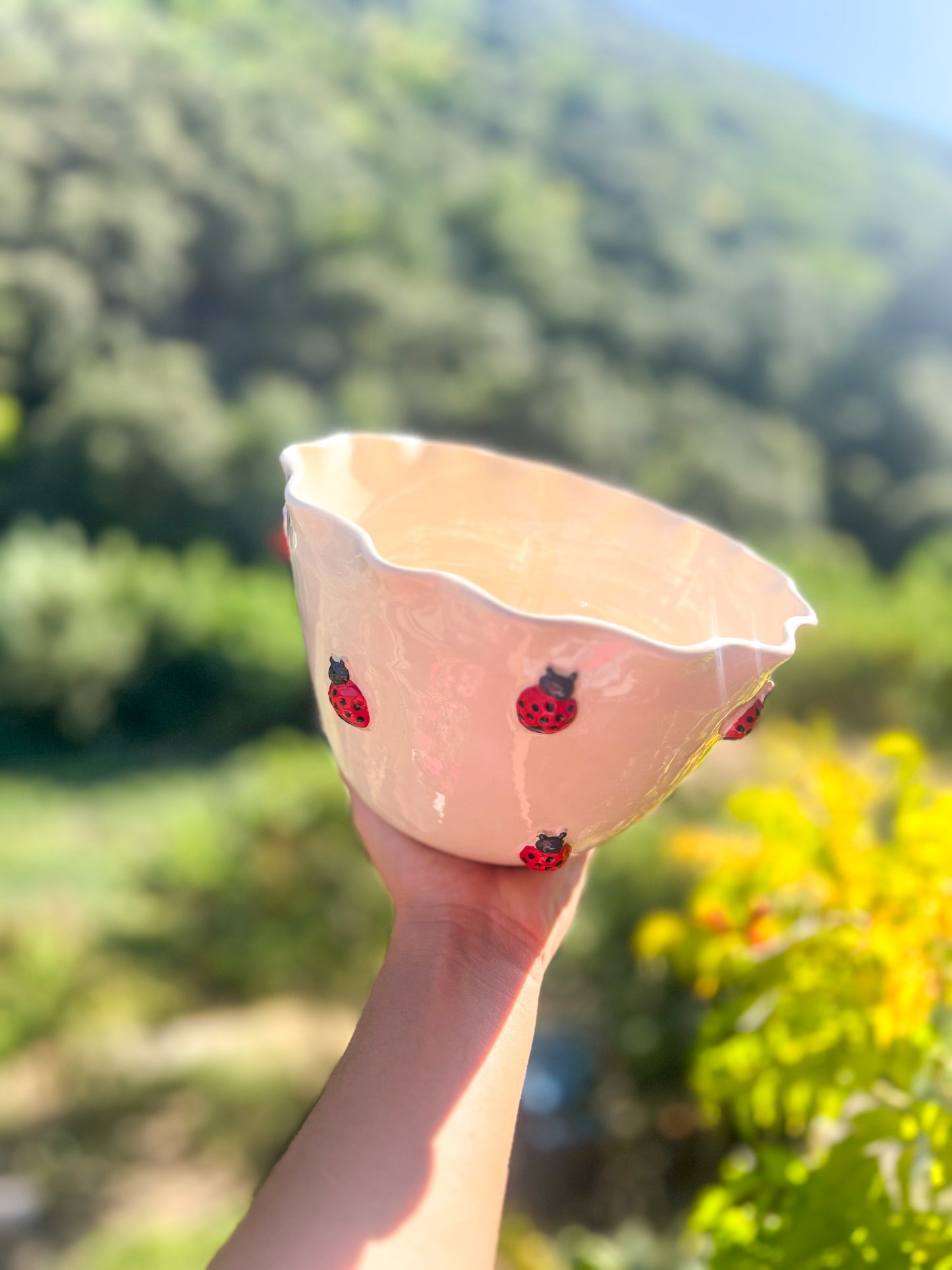 Saladier Coccinelle 🐞